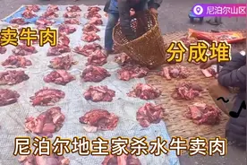尼泊尔农村地主家杀牛卖肉，牛身上的所有部位都平均分，按堆出售视频封面