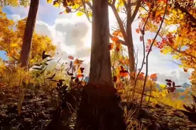 “熊出没狗熊岭幕后真实背景"位于大兴安岭