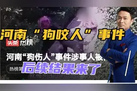 河南“狗咬人”事件后续结果来了，涉事狗主人被停职，登门道歉