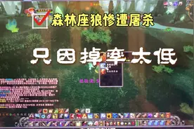 泰罗卡森林任务：狼魂之衣。掉率感人，有时候会怀疑是不是不掉。