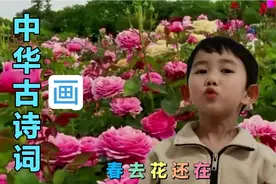 溪宝朗诵古诗《画》是一首谜语诗，诗中有画，画中有诗！美如画卷