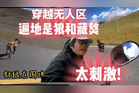 万里骑行青海治多县到曲麻河，一路穿越无人区遍地是狼和藏獒来追视频封面