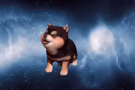 #十二生肖#旺财#属狗