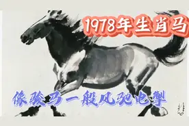 生肖马:1978戊午年出生的马，像奔驰的骏马一般，风驰电掣！