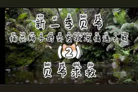 刺激/旅游/冒险剧场:21年的新贝爷Ⅲ（2）身陷险境却成功捕获狮子视频封面