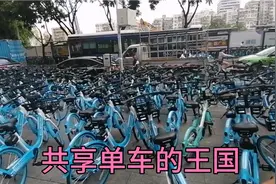 世界之大无奇不有，共享单车最多的地方，珠海粤华路单车街