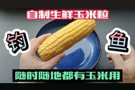 还在用鲜玉米钓鱼？试试自制嫩玉米，保存时间长，随取随用超方便视频封面