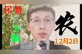 尿素下调原因？尿素最新价格、2021年12月2日。视频封面