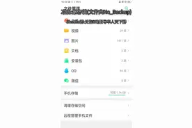 植物大战僵尸Shuttle版转移存档，渠道教程