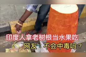 印度三哥卖“老树根”，切成纸薄片卖15块被骂，他：10年才长一根视频封面