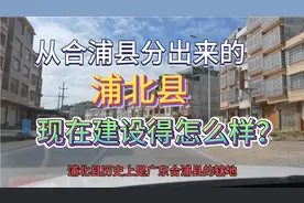 广西浦北县。曾属于广东合浦县。