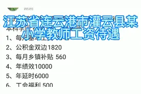江苏省连云港市灌云县某小学教师工资待遇
本科学历 在编1年 二级视频封面