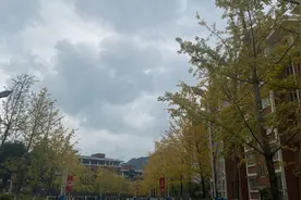 秋天真的很适合谈恋爱呢，和女朋友手牵手的走这条路真的很浪漫哎