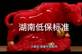 你知道吗？2021年湖南低保户补助最新标准：一个月能领多少钱？视频封面