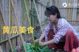 黄瓜美食，当黄瓜成熟季节，那就变着花样来做吧！