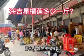 广西南宁海吉星的榴莲铺满地，老板说不甜不熟不要钱，你们信吗？视频封面