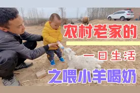 萌娃喂小羊喝奶，差点自己先喝上，整个过程趣味翻天视频封面