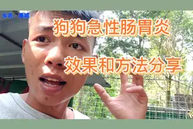我的个人给狗狗用药“治急性肠胃炎”的方法。不代表任何人。视频封面
