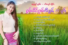 缅甸掸族傣族瑶族歌曲集