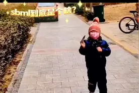 这sbml到底是个啥玩意。结局惊讶了