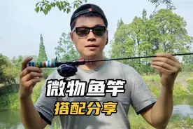 好物分享:仅花600块，就配齐一套微物鱼竿，搭配方法全在里面视频封面