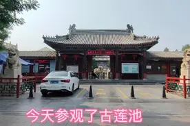 带你走进保定古莲花池。60岁以上不要票呦！！视频封面