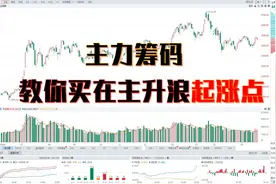5分钟看懂筹码主峰，发现主力最大弱点，再也不用担心卖飞股票了视频封面
