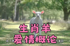 生肖属【羊】的人恋爱和爱情态度上的分析视频封面