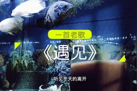 《遇见》向左向右向前看，爱要拐几个弯才来。