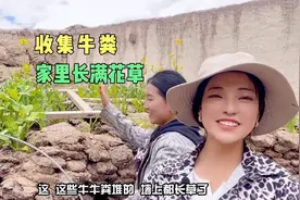 藏族姐妹家里堆满牛粪，西藏的人为啥喜欢收集牛粪？听卓玛怎么说