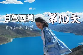 自驾西藏第10天，羊湖最美拍照点推荐！不花钱景更美