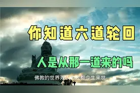 你知道人从六道轮转的时候，自己是哪里来的吗？这个视频告诉你视频封面