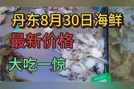 南方开海带来好海货，看8月30日丹东早市卖多少一斤？真没想到