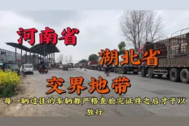 实拍河南湖北交界的地方，103省道严重拥堵，进出检验非常的严格视频封面