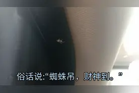家里，或者车里出现蜘蛛是什么征兆？视频封面