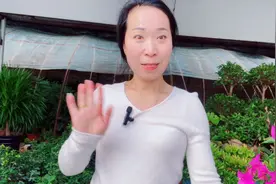 不怕晒的阳台植物视频封面