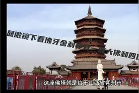 显微镜下看佛牙舍利，竟有一尊大佛和四位护法？