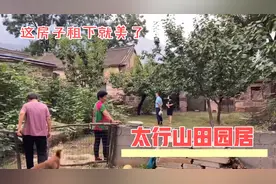 河南辉县太行山，发现一适合养老的石头房，能租下来生活这美死了视频封面