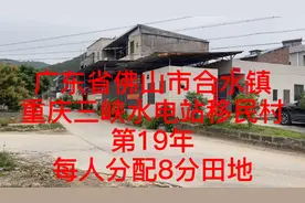 广东省佛山市合水镇重庆建三峡水电站移民村第19年了，每人8分田