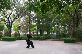 中华武术《传统南拳》中级拳术单人练习套路