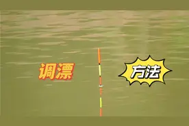 最灵敏的调漂方法，双钩调3目，浮漂每一次信号都清晰可辨视频封面