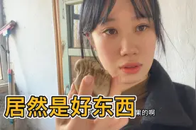 东北养殖梅花鹿场，揭晓现场人工取鹿角帽真实过程，它也有大用处