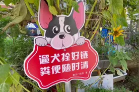 有了这些提示牌和倡议书，社区文明养犬风气大好图片