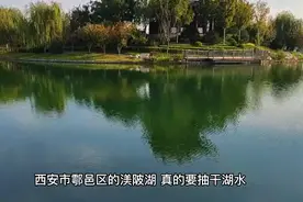 西安在填湖？鄠邑区渼陂湖要回填了，究竟是真的，还是网络谣言视频封面