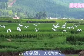 昆明（嵩明县）一览视频封面