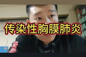 猪，传染性胸膜肺炎，有急性发作，有慢性发作，治疗方法看视频！视频封面