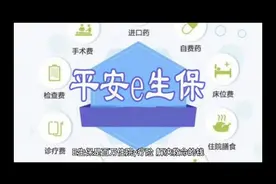 E生保讲解