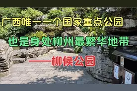 广西唯一一个国家重点公园，身处柳州最繁华的闹市之中的柳候公园视频封面