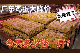 广东鸡蛋价格暴跌，今天多少钱一斤？看完大吃一惊，赶紧囤货