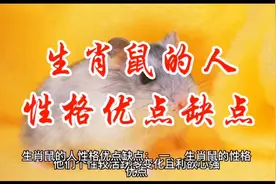 生肖鼠的人性格优点缺点视频封面
